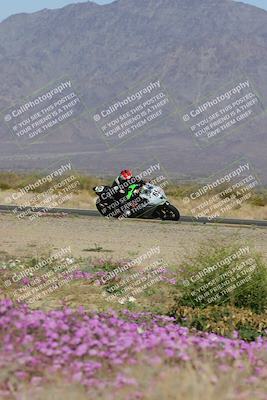 media/Feb-04-2023-SoCal Trackdays (Sat) [[8a776bf2c3]]/Turn 15 Inside Blooming (1050am)/